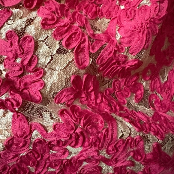 Yoana Baraschi Anthropology Fit and Flare Dress. Mesh with Pink Ribbon Overlay. - Picture 5 of 16